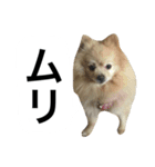 くうぷうぽんすけ2（個別スタンプ：4）