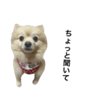 くうぷうぽんすけ2（個別スタンプ：7）