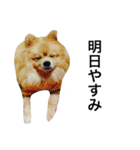 くうぷうぽんすけ2（個別スタンプ：8）