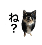 くうぷうぽんすけ2（個別スタンプ：9）