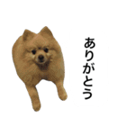 くうぷうぽんすけ2（個別スタンプ：10）