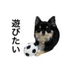 くうぷうぽんすけ2（個別スタンプ：12）