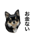 くうぷうぽんすけ2（個別スタンプ：18）