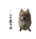 くうぷうぽんすけ2（個別スタンプ：26）
