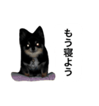 くうぷうぽんすけ2（個別スタンプ：39）