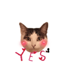 お豆姫（個別スタンプ：3）
