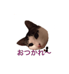 お豆姫（個別スタンプ：5）