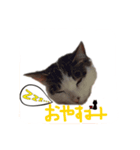 お豆姫（個別スタンプ：6）