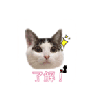 お豆姫（個別スタンプ：7）