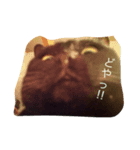 黒猫#チャム（個別スタンプ：2）
