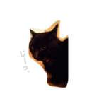 黒猫#チャム（個別スタンプ：3）