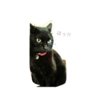 黒猫#チャム（個別スタンプ：4）