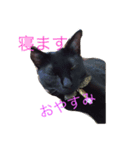 黒猫ラカさんの顔芸（個別スタンプ：5）