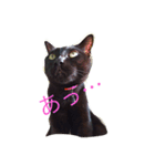 黒猫ラカさんの顔芸（個別スタンプ：7）