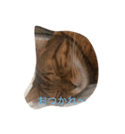 おれさま（個別スタンプ：4）
