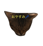 おれさま（個別スタンプ：7）