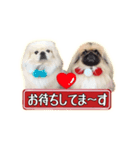 ペキニーズ Nana ＆ Haku（個別スタンプ：4）