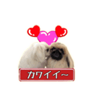 ペキニーズ Nana ＆ Haku（個別スタンプ：9）