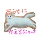 ちゃーみー（個別スタンプ：5）