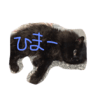 悟空くん（個別スタンプ：2）