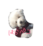 悟空くん（個別スタンプ：7）