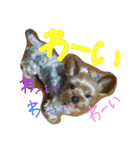 五右衛門くん（個別スタンプ：14）