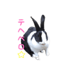 レンくん＆ランちゃんのうさんぷ（個別スタンプ：14）