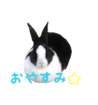 レンくん＆ランちゃんのうさんぷ（個別スタンプ：16）
