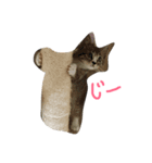 ねこのたび（個別スタンプ：4）