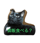reo cat（個別スタンプ：6）