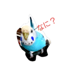 およよとクララ（個別スタンプ：3）