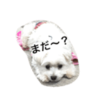 みるたん（個別スタンプ：15）