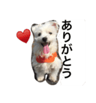 みるたん（個別スタンプ：17）