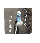 みるたん（個別スタンプ：22）