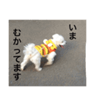 みるたん（個別スタンプ：23）