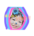 まひだいぜん（個別スタンプ：13）