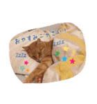 テキ様♡すたんぷ（個別スタンプ：2）