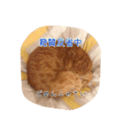 テキ様♡すたんぷ（個別スタンプ：4）