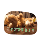 テキ様♡すたんぷ（個別スタンプ：5）