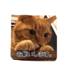 テキ様♡すたんぷ（個別スタンプ：6）