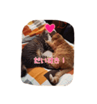 テキ様♡すたんぷ（個別スタンプ：7）