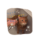 テキ様♡すたんぷ（個別スタンプ：9）