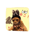 テキ様♡すたんぷ（個別スタンプ：11）