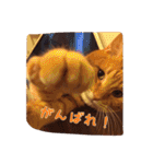 テキ様♡すたんぷ（個別スタンプ：16）