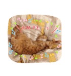 テキ様♡すたんぷ（個別スタンプ：17）