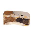 テキ様♡すたんぷ（個別スタンプ：24）