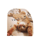 テキ様♡すたんぷ（個別スタンプ：34）