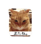 テキ様♡すたんぷ（個別スタンプ：36）