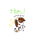 ベロ出しわんこ。レオンくん3（個別スタンプ：17）