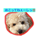 あいどる Peco part.1（個別スタンプ：4）